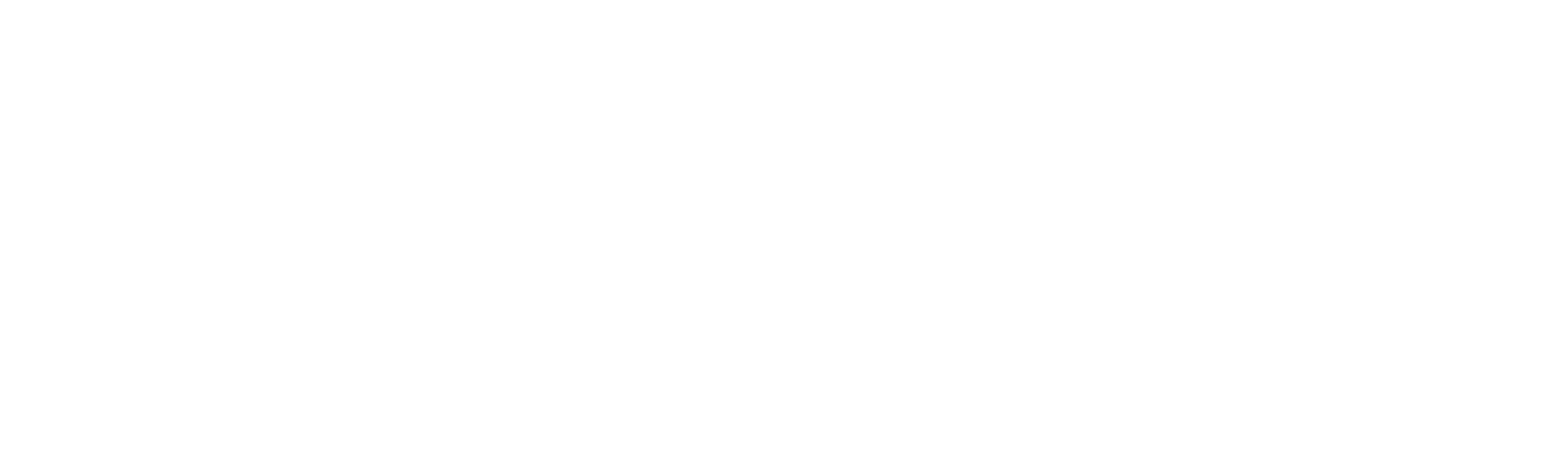 SMM4DZ Logo